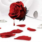 Dracula : visionnez le clip "En Transe...Ylvanie"