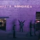 Festival des Nuits Sonores : un anniversaire réussi !