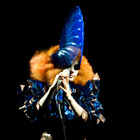Björk en concert à Paris en février 2013