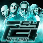 Psy 4 de la Rime sur scène et dans les bacs