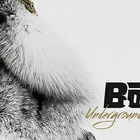 B.o.B de retour avec "All I Want" : écoutez !