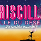 "Priscilla, folle du désert" débarque en France