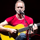 Sting s'exprime sur les incendies en Amazonie