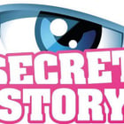Secret Story : Matt Houston signe le générique