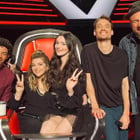 TF1 : le casting de la nouvelle série musicale !