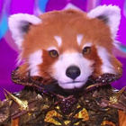Mask Singer : le Panda roux éliminé, qui était dans le costume ?