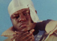 Jey Brownie cartonne avec "GTB"