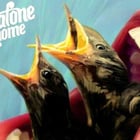 Dictafone revient avec un troisième album