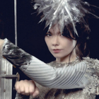 Björk : un coffret collector à 574 € !