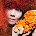 Björk : le projet "Biophilia" jusqu'en 2014