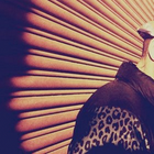 C. Brown suit la tendance : "Turn Up The Music"