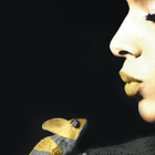 Shy'm : ses meilleurs clichés dans un Book