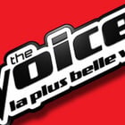 "The Voice" en concert à Bercy le 29 juin 2013 !