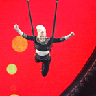 Pink : une demande en mariage en plein show