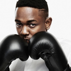 Kendrick Lamar lâche "The Blacker The Berry"