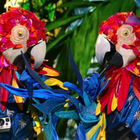 "Mask Singer" : qui sont les Perroquets ?