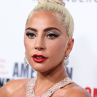 Lady Gaga : ses chiens retrouvés