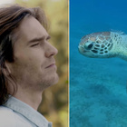 Amaury Vassili reprend "Writing's On The Wall"