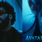 Avatar : la chanson de The Weeknd !