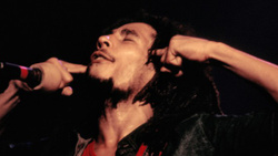"Marley " : le documentaire bientôt sur Facebook