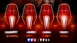 The Voice : les coachs annoncés !