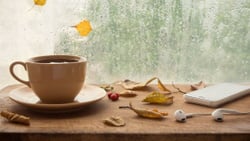 Voici notre playlist coups de coeur !