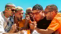 Bengous met Marseille à l'honneur sur "Allo fraté""