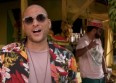 Conkarah et Shaggy cartonnent avec "Banana"