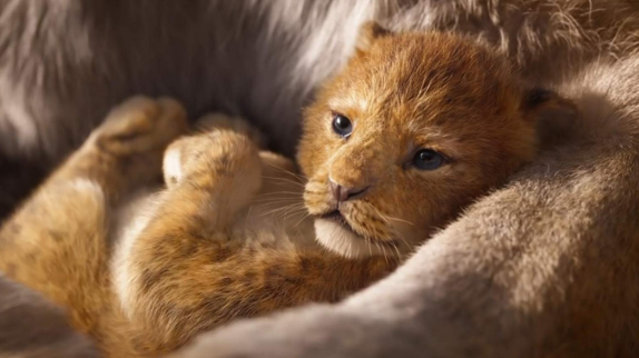 "Le Roi Lion" : démarrage record en France