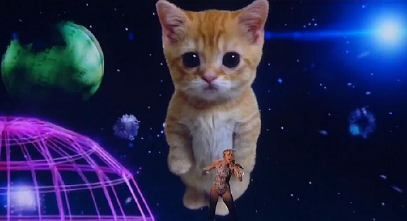 AMA's : Miley Cyrus chante avec... un chat
