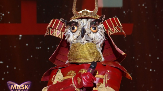 Mask Singer : qui est le Hibou ?