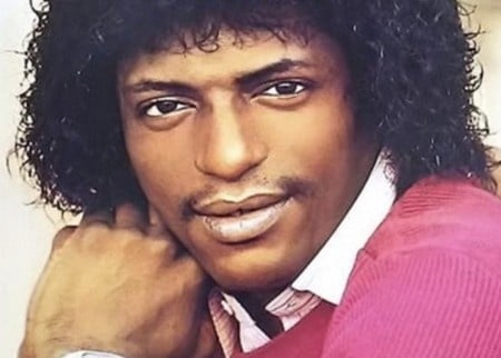 Ce célèbre chanteur des années 70 nous a quittés