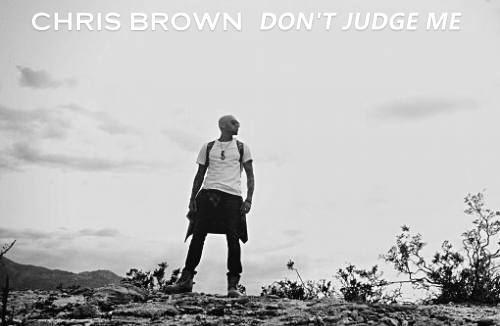 Chris Brown : votez pour les Créa'pochettes