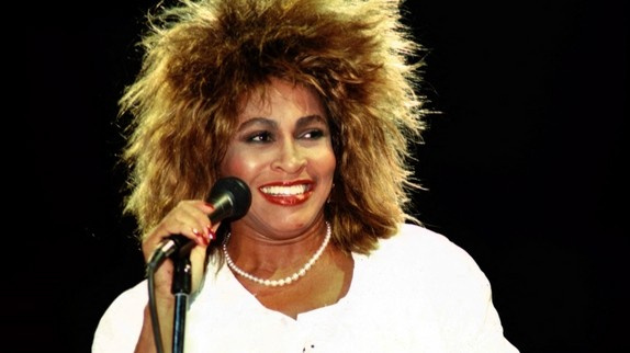 Tina Turner : une statue détruite par les internautes