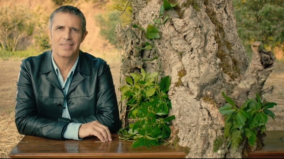 Julien Clerc sous son arbre