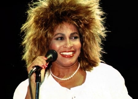 Tina Turner : une statue détruite par les internautes