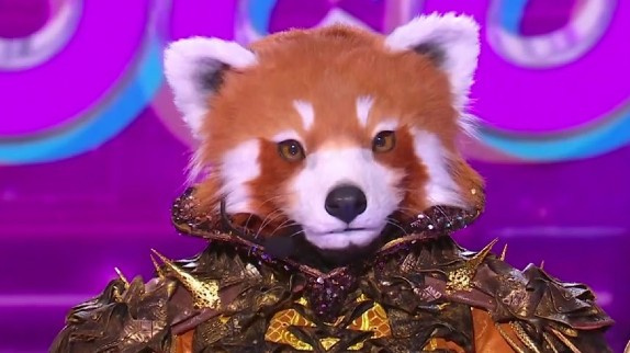 Mask Singer : le Panda roux éliminé, qui était dans le costume ?