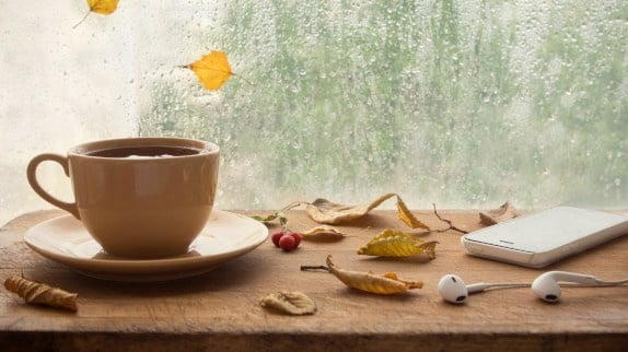 Voici notre playlist coups de coeur !