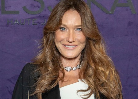 Carla Bruni est guérie de son cancer