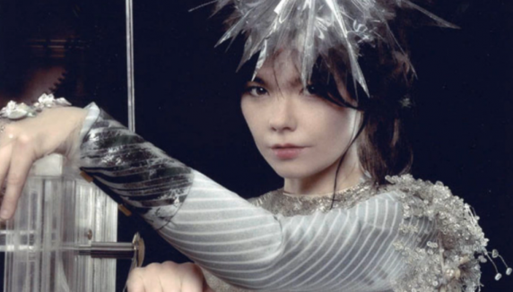 Björk : un coffret collector à 574 € !
