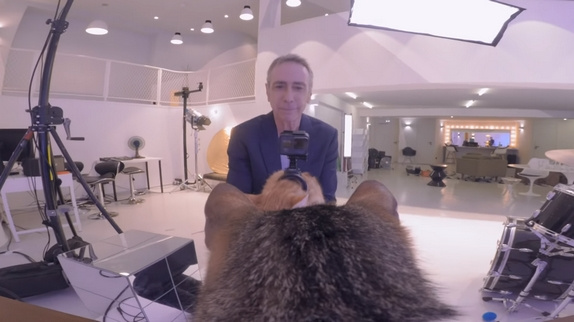 Alain Chamfort, filmé par des chats !