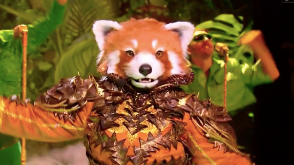 Mask Singer : on a démasqué le Panda roux !