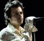 Harry Styles : son concert à Paris reporté en 2021