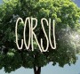 "Corsu Mezu Mezu" numéro un des ventes
