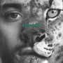 Zayn moqué pour la pochette de son nouvel album