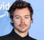 Pourquoi Harry Styles a refusé "La petite sirène"