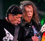 Metallica reprend Indochine en plein concert