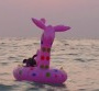 Clip de "Saints" : Moby évoque le drame des sans-abris