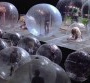 Flaming Lips : des concerts dans des bulles