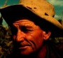 Bob Dylan : le clip du single "Pretty Saro", réalisé à partir de photos des années...